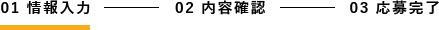 01 情報入力　　　　　02 内容確認,03 応募完了